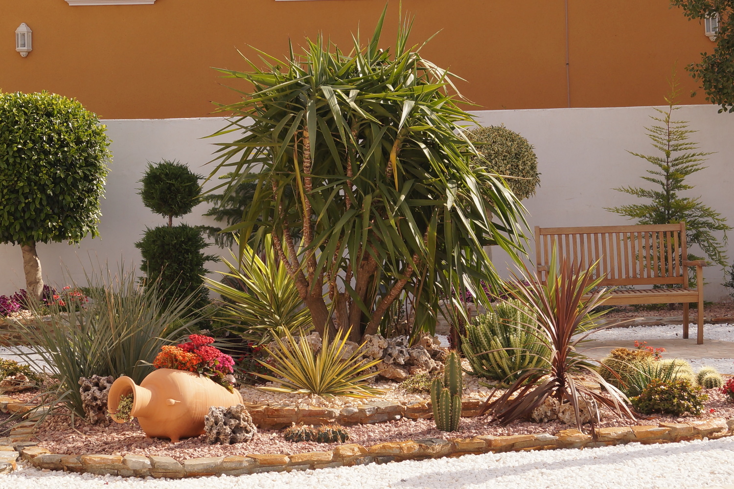 Jardines Torrevieja