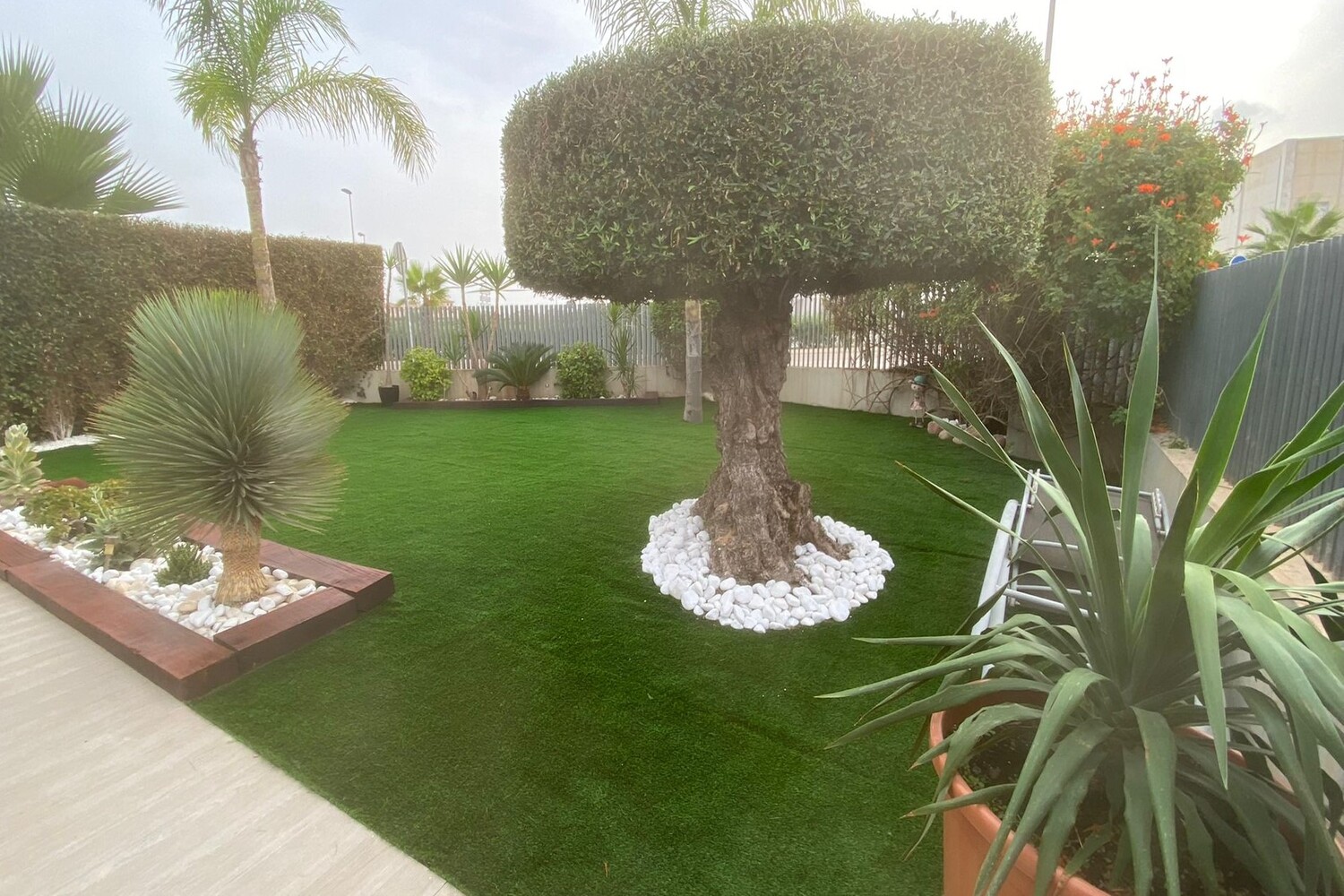 Jardines Torrevieja